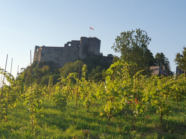 Burgruine Finkenstein